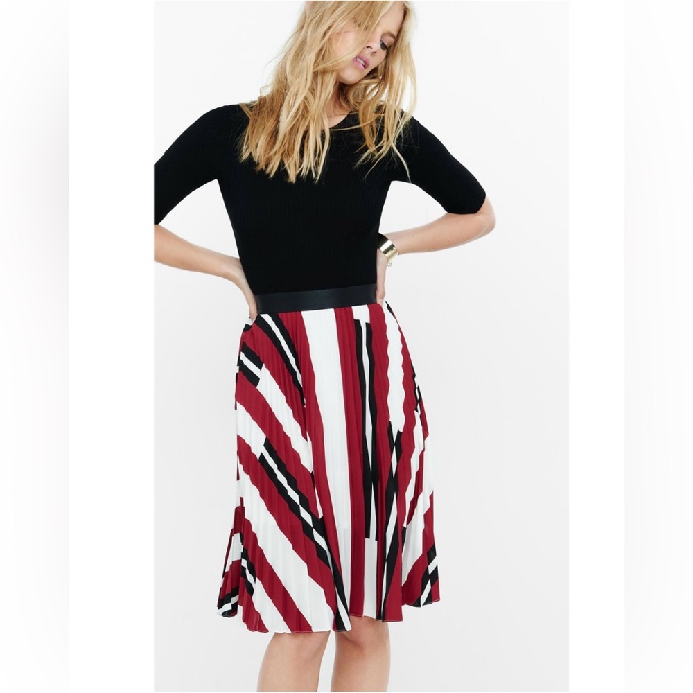 Express Pleated Skirt